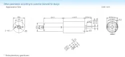 Planetary gear motor