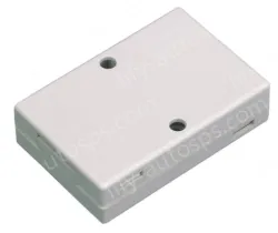 FX2N