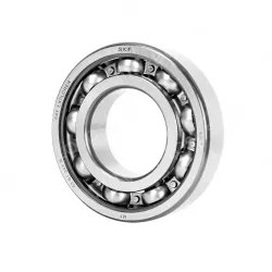 6004-2Z Metal Seal
