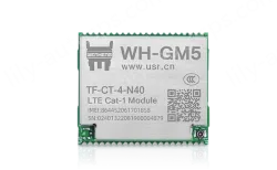 Cat-1 module