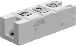 IGBT skkd-205f06-07910710 600V