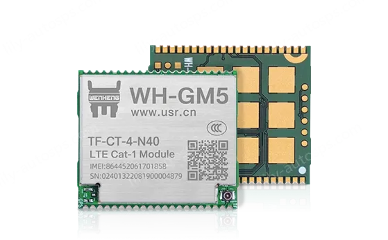Cat-1 module
