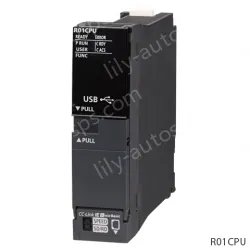 R01CPU