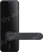 Smart door lock C89