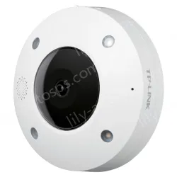 6,000,000 wireless panoramic IP cameras