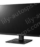 Display Screen