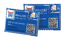 LoRa module