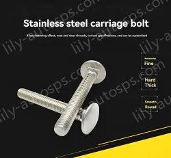 Big head carriage bolt M6*12